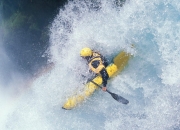 熊猫体育世界杯-戈麦斯，美加墨世界杯之夜，硬仗之王的加冕时刻